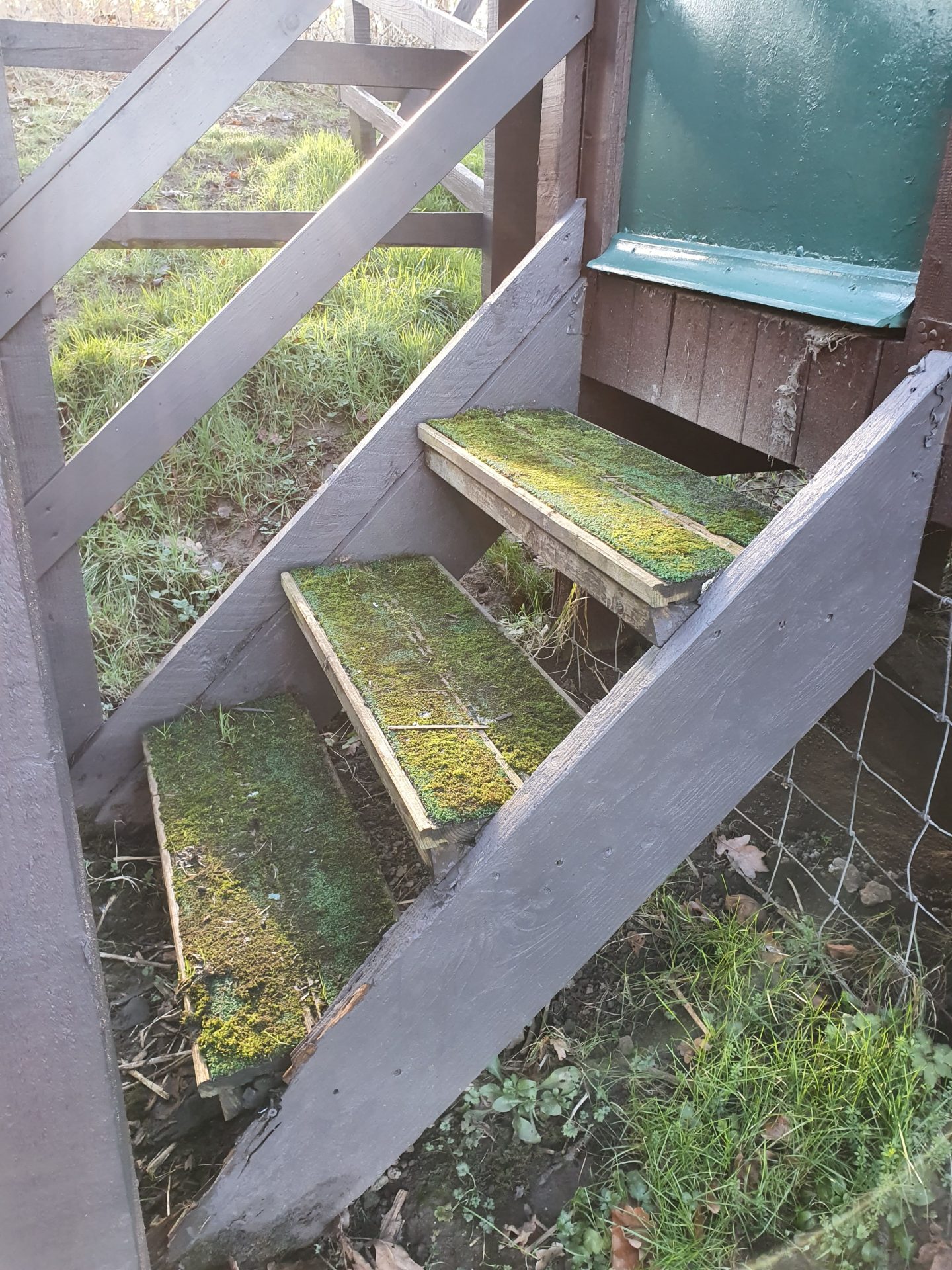 Step access with rotting wood stringers (before replacement)